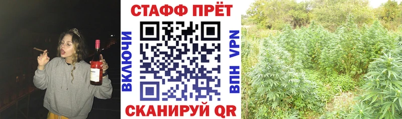 Купить наркоту Шахунья Марихуана  Мефедрон  Бутират  кракен маркетплейс  A-PVP  Амфетамин  Гашиш 
