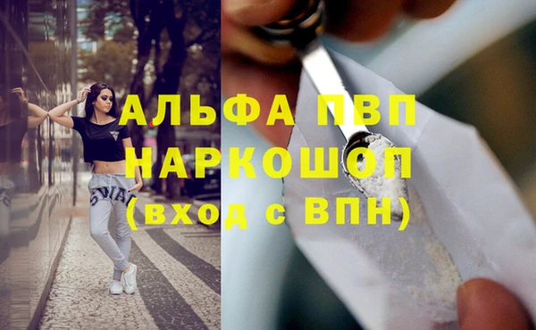 ГАЛЛЮЦИНОГЕННЫЕ ГРИБЫ Беломорск