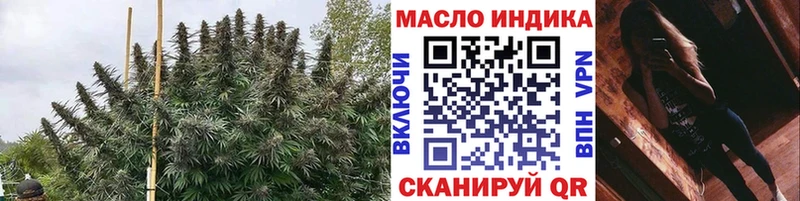 Дистиллят ТГК Wax  Шахунья 
