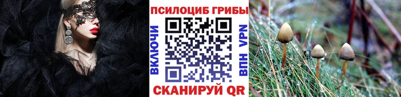 Галлюциногенные грибы ЛСД  Шахунья 