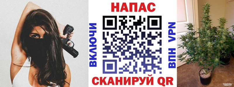Бошки марихуана ГИДРОПОН  магазин продажи   Шахунья 